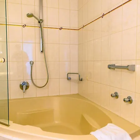 Almhof Rupp Hotel 4*