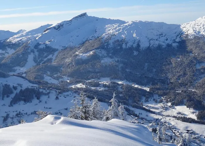 Hotel Ski- Und Aktivhotel Almhof Rupp