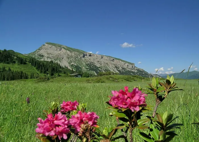 Ski- Und Aktivhotel Almhof Rupp 4*